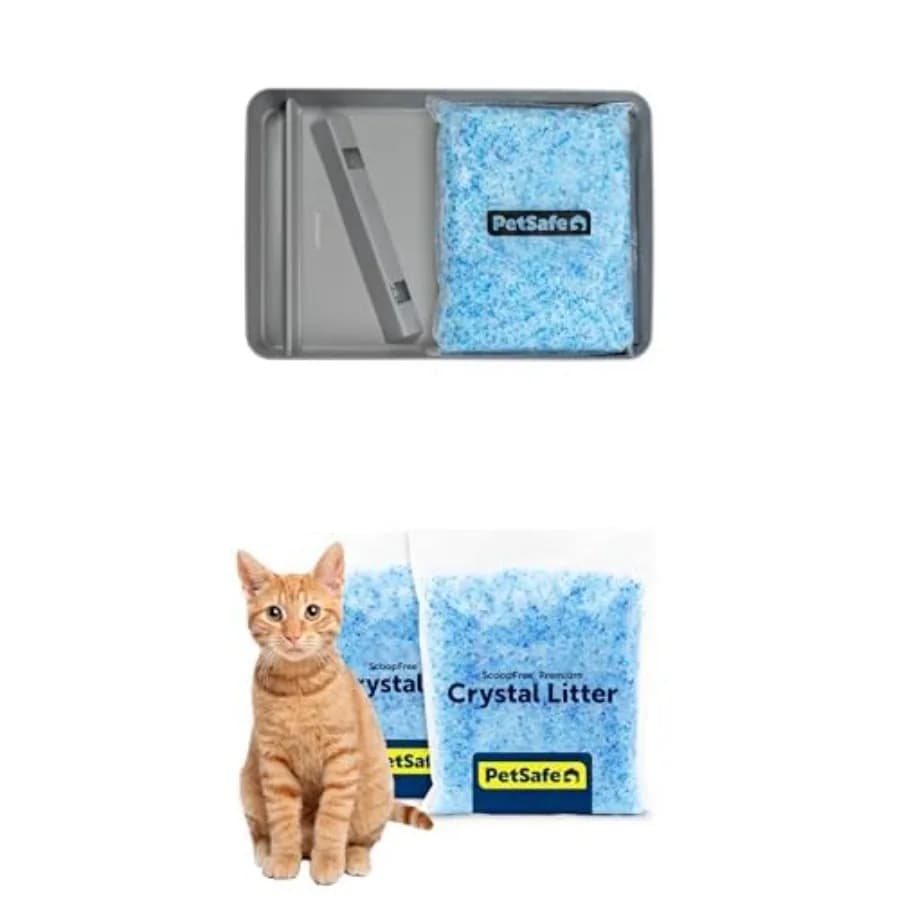 Set di Lettiere ScoopFree in Acciaio Inossidabile Riutilizzabili con Protezione Magnetica per i Rifiuti e Sacchetto da 4,3 libbre di Lettiera Premium Profumata Fresca