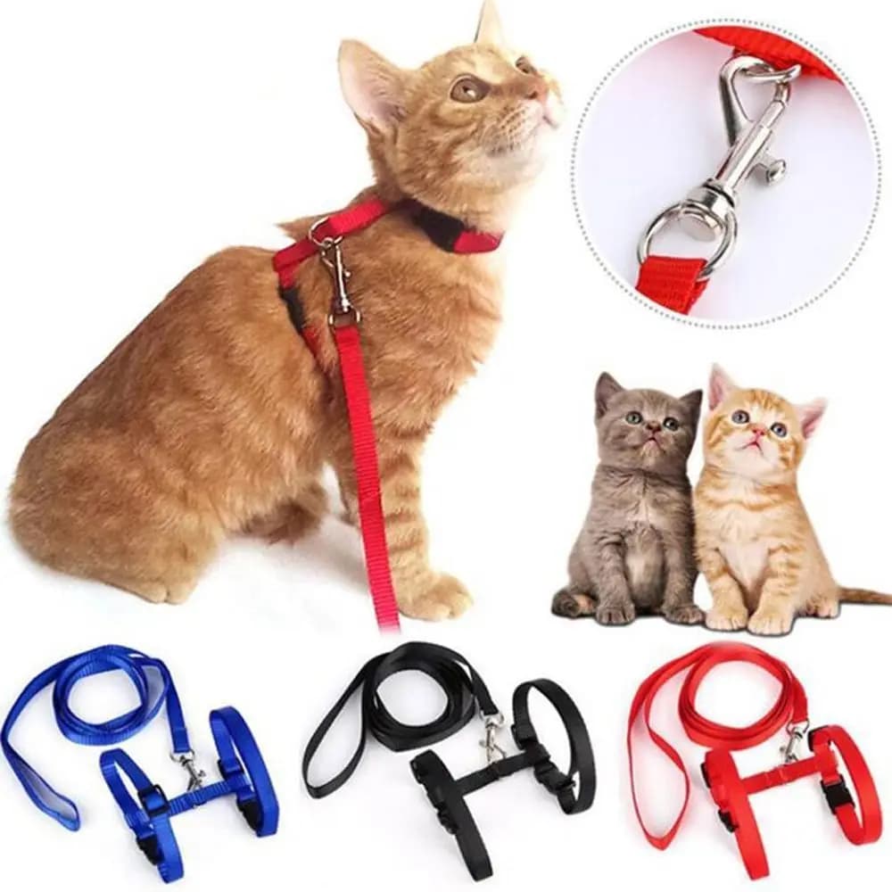 Guinzaglio per animali domestici imbracatura in Nylon Puppy Cat gilet regolabile Jean guinzaglio collare cinturino abbigliamento corda