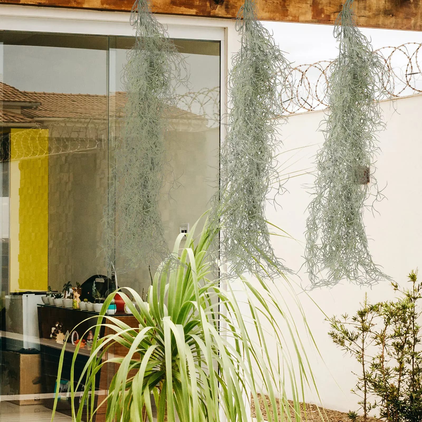 Suspended Musk Decoration for Vase Plants, Artificial Musk Dry for Fate Garden, Terrarium, Bonsai, Micro Landscape, Fai-da-Te, Craftsmanship and Landscape
