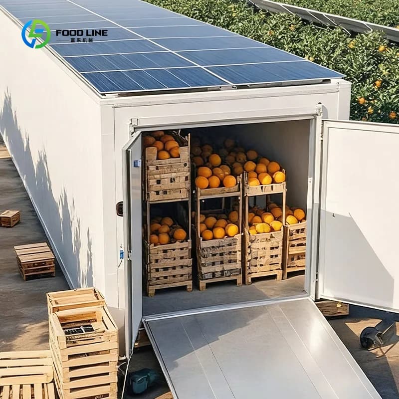Cella frigorifera mobile da 20 piedi alimentata a energia solare, container per la conservazione di alimenti, congelatore walk-in per la conservazione di carne, frutti di mare e frutta.