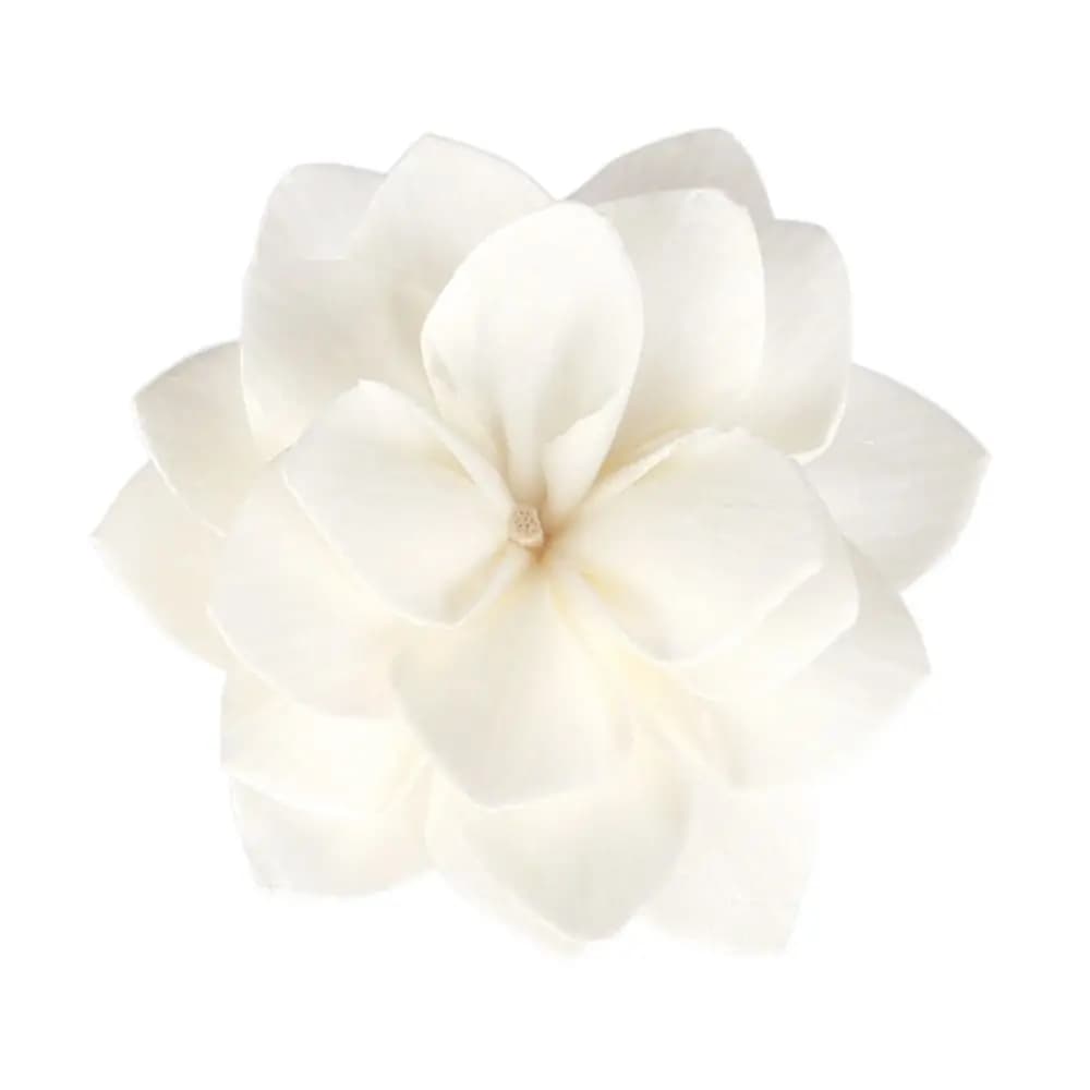 Fiori Secchi Tongcao Tingibili e Volatili per Aromaterapia, Incenso Aromatico Fatto a Mano, Bastoncini Diffusori di Fragranza
