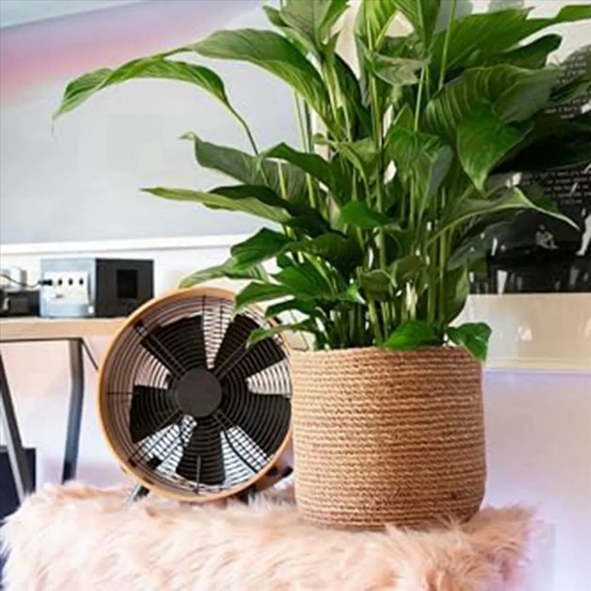A20M Marine Algae Flower Vase - Braided Plant Vase - Decorative Plant Basket with Boho S style plastic film insert
