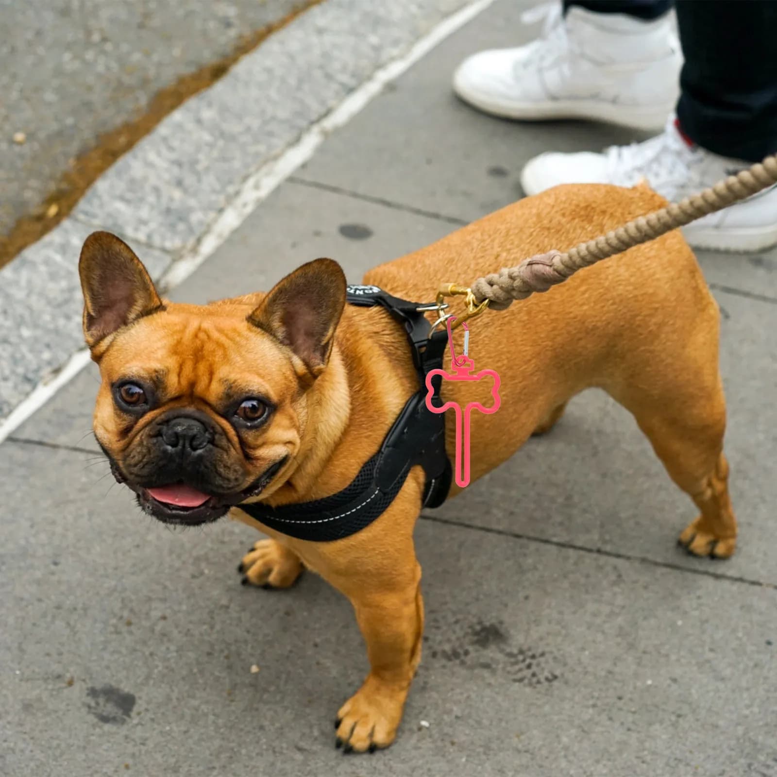 5 Pezzi Clip Fissaggio Sacchetti per Deiezioni Canine, Robusti Supporti in ABS per Sacchetti Igenici, Porta Sacchetti Mani Libere per Guinzaglio, Accessorio per Animali Domestici