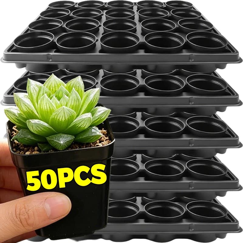 10/50 Pezzi Vasi Quadrati in Plastica per Piante Grasse, Vasi da Vivaio Quadrati con Drenaggio, Piccoli Contenitori per Fiori e Piante, per Casa, Giardino e Semenzai