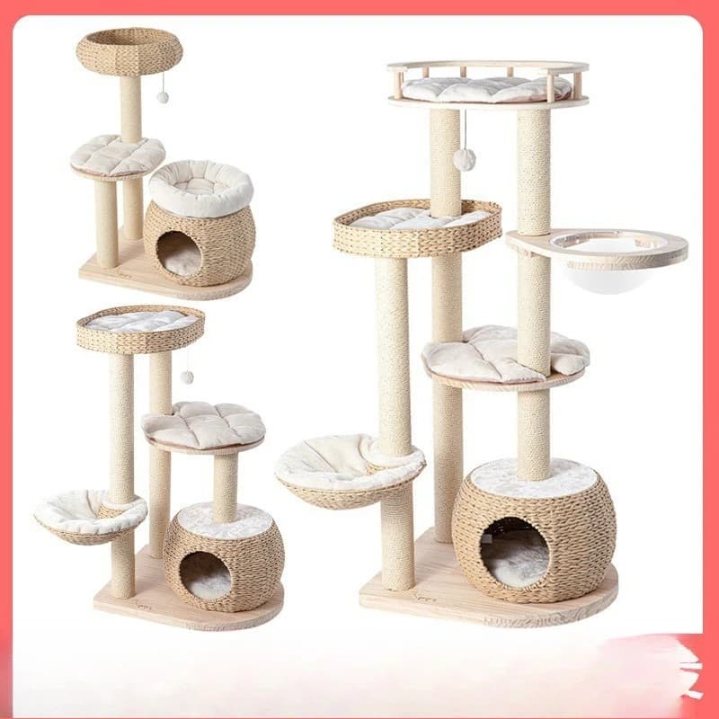 Gatto con vaso di miele, struttura per arrampicata su gatti, albero nido per gatti integrato in legno massello