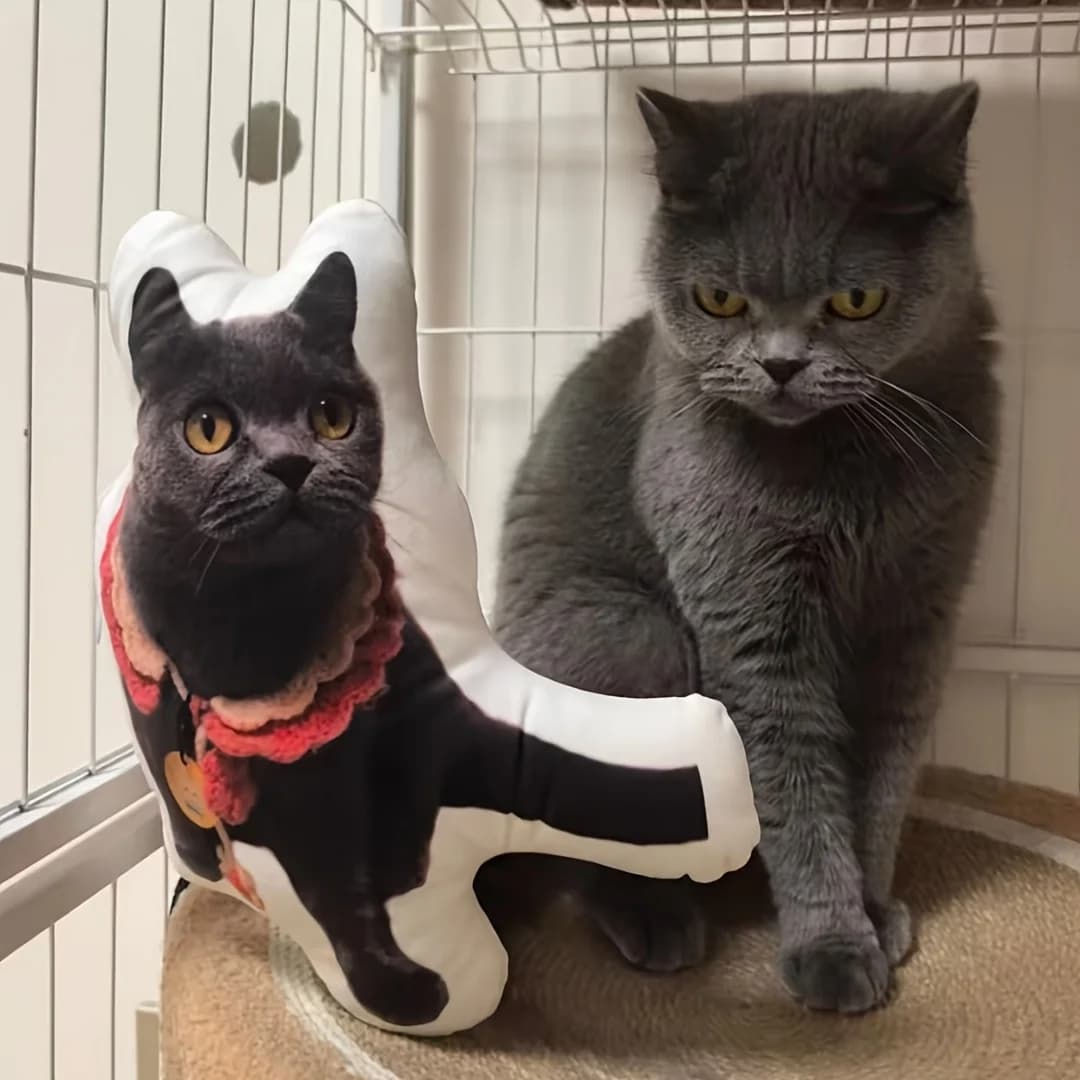 Cuscini personalizzati per animali domestici, graziosi e speciali, con cuscini personalizzati bifacciali, adatti per il ritorno a scuola e per la laurea.
