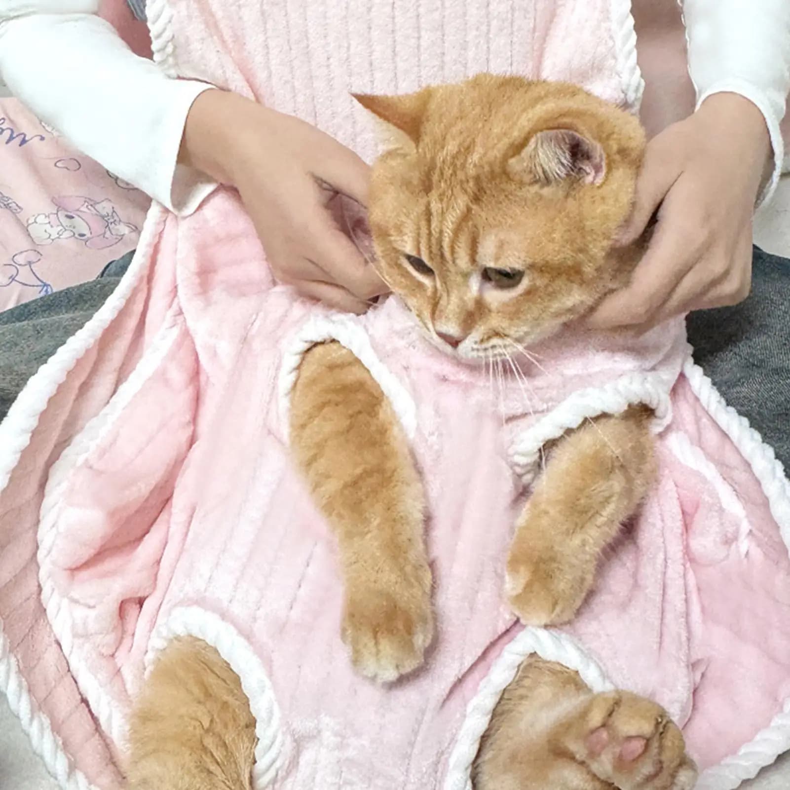 Grembiule per gatti per trasportini per animali domestici Grembiule traspirante regolabile per animali domestici per toelettatura rifinitura delle unghie Fotografia incollaggio Donna Uomo