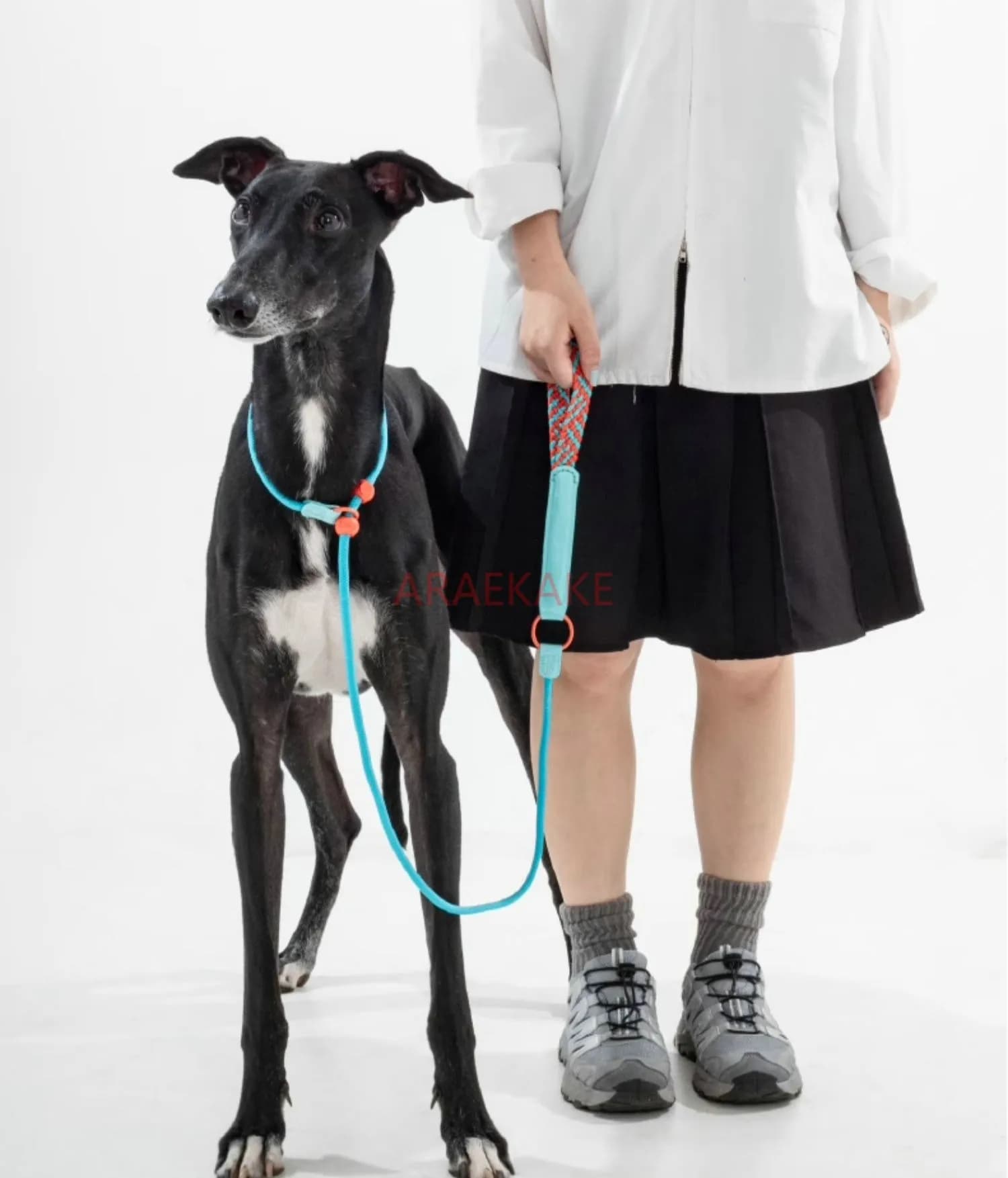 Guinzaglio per cani di piccola e media taglia con petto e schienale antideflagranti per cani che cammina, cuccioli e animali domestici