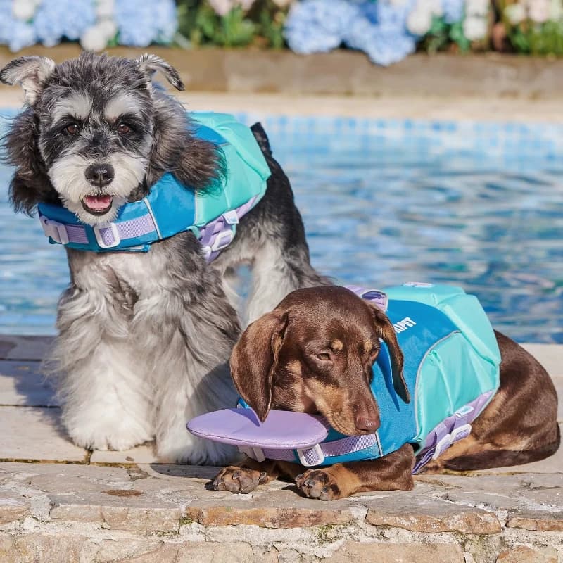 Summer Pet Life Jacket for Small Dogs High Buoyancy Flotation Suit for Puppy Adjustable Safety Swimwear Outdoor Water Swim Vest