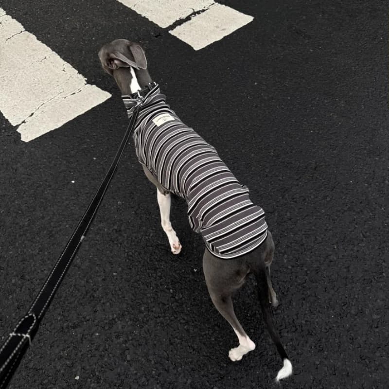 Grey Striped High-Neck Spring T-Shirt for Mid Dogs Cotton Sleeveless Spring Coat for Greyhound Wellington Summer Blue Pajamas