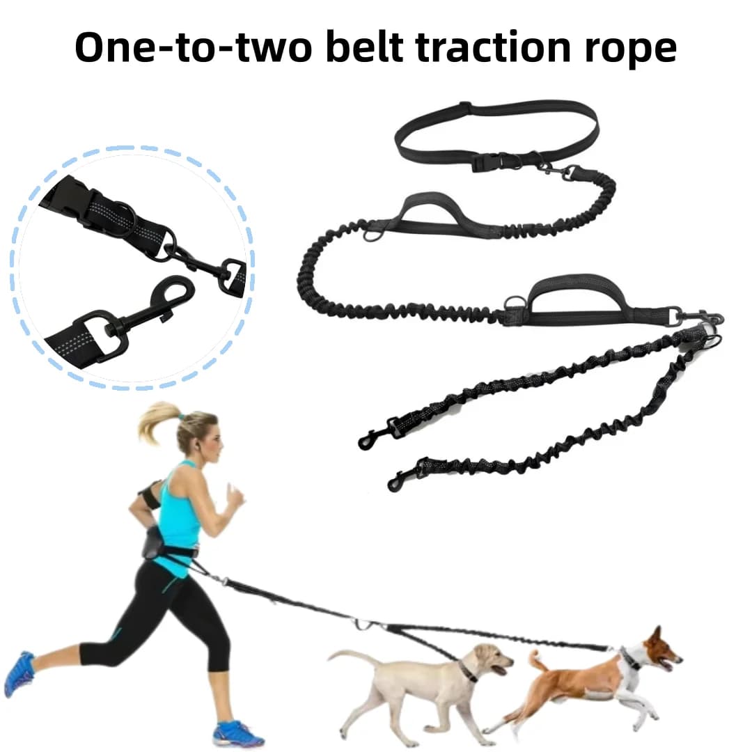 1-2 Paia di Guinzagli Elastici Riflettenti per Cani, Cinghie di Trazione Portatili e Retrattili, Accessori per Animali Domestici