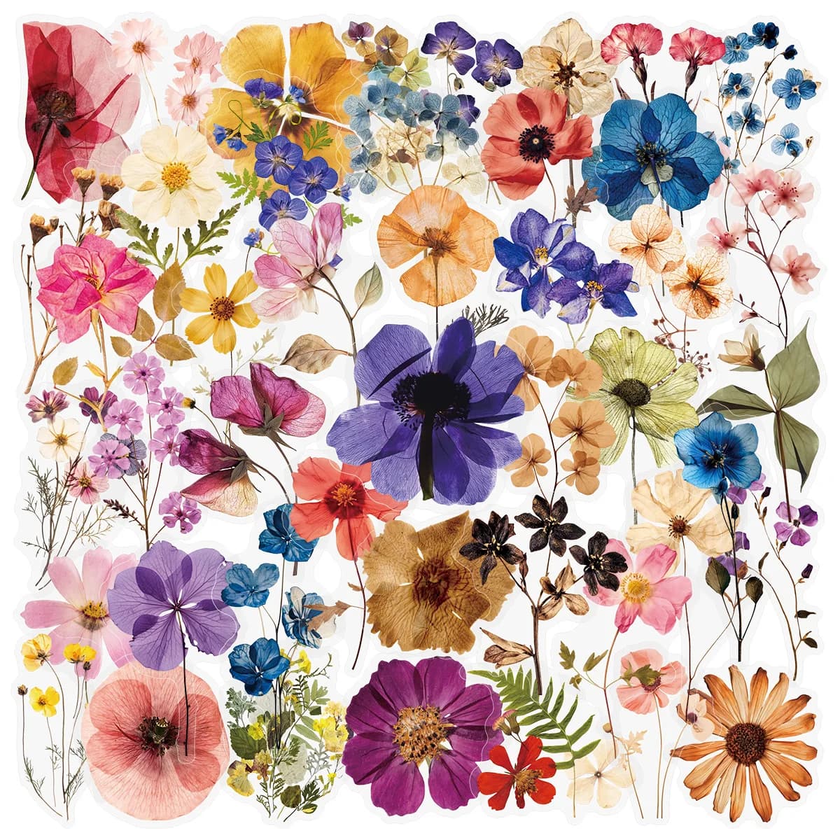 10/30/50 Pezzi di Adesivi Trasparenti con Motivi Vegetali in Rilievo per DIY, Planner, Quaderni, Tablet, Cover per Telefoni, Decorazioni, Giocattoli e Regali