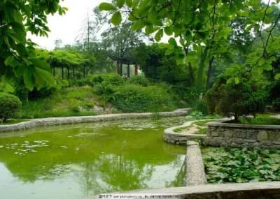 Parti di ricambio in metallo per auto RC FMS Xiaoqi 1/24 FCX24, ingranaggi in acciaio per il ponte.