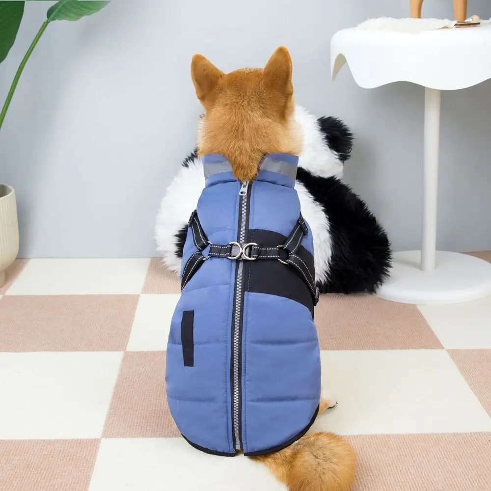 Giacca calda per cani regolabile Cerniera calda antivento Vestiti per cuccioli con imbracatura Gilet invernale imbottito impermeabile per animali domestici Abbigliamento invernale