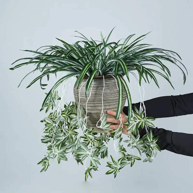 6 Pezzi di Piante Verdi Artificiali in PVC Morbido Adesivo, Chlorophytum Comosum Stile Phnom Penh, Decorazione Floreale per Matrimoni