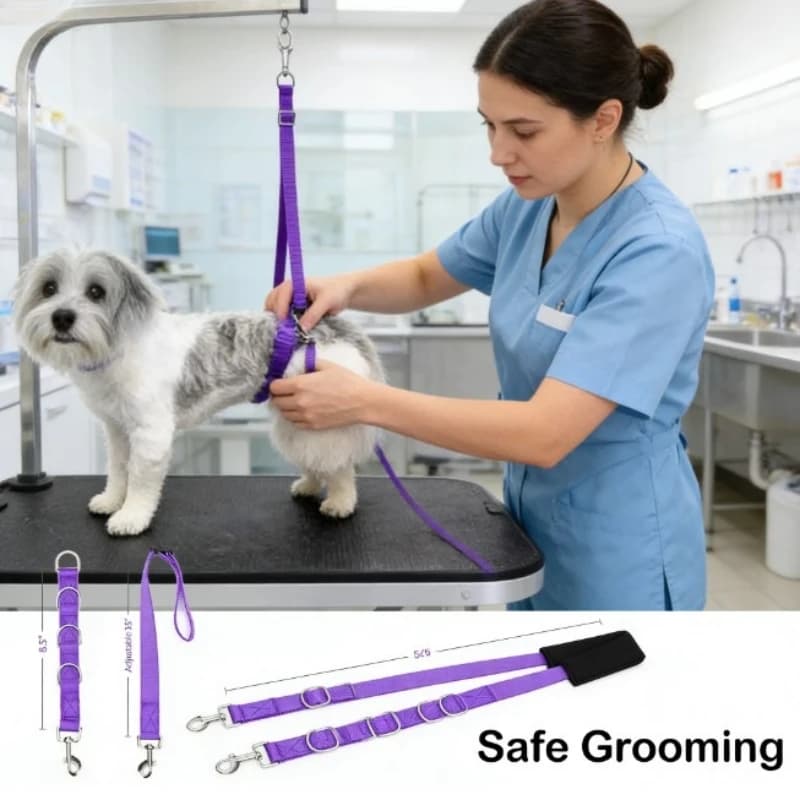Set Guinzaglio e Collare per Cani, Corda per il Bagno, Accessori per la Toelettatura, per Bagno, Passeggiate e Addestramento
