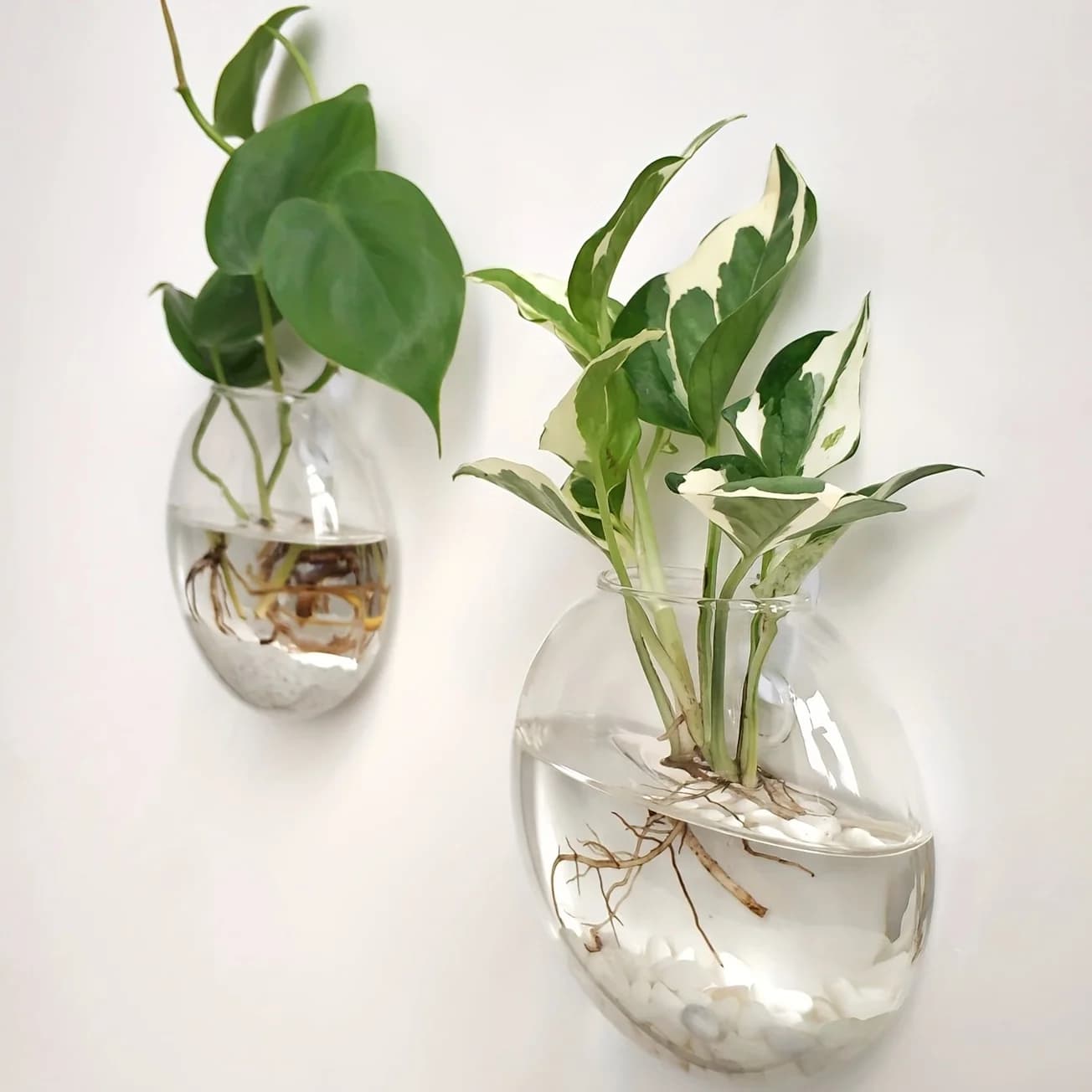 2 pieces/4 pieces/6 pieces flower pot for wall hanging glass terrarium for gifts of hydroponic plants, decorations for home office