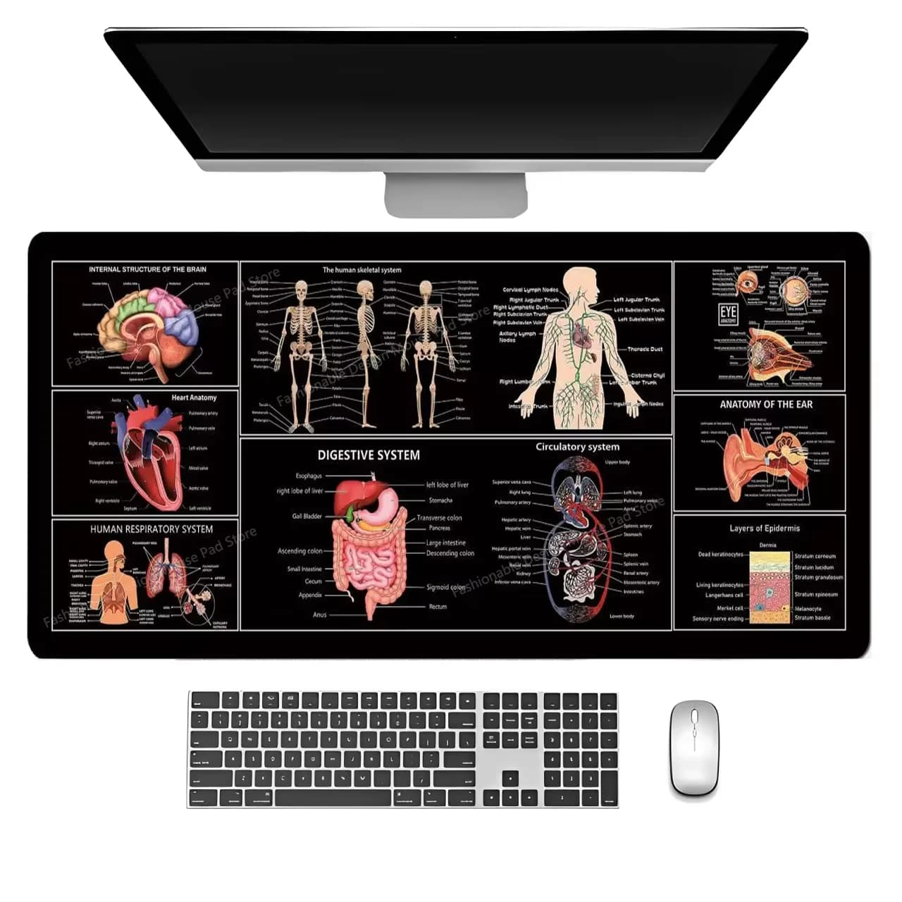 Mouse Carpet with Explanations of Medical Anatomy, Tricks and Quick Commands for Keyboard, Gaming Desk Mat, Office Rubber Protection