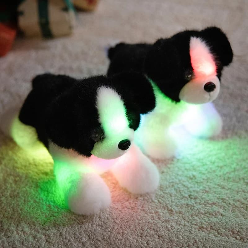 Peluche Border Collie Luminoso Kawaii con Luce LED, Regalo di Natale e Compleanno per Bambini e Bambine, Giocattolo da Abbraccio
