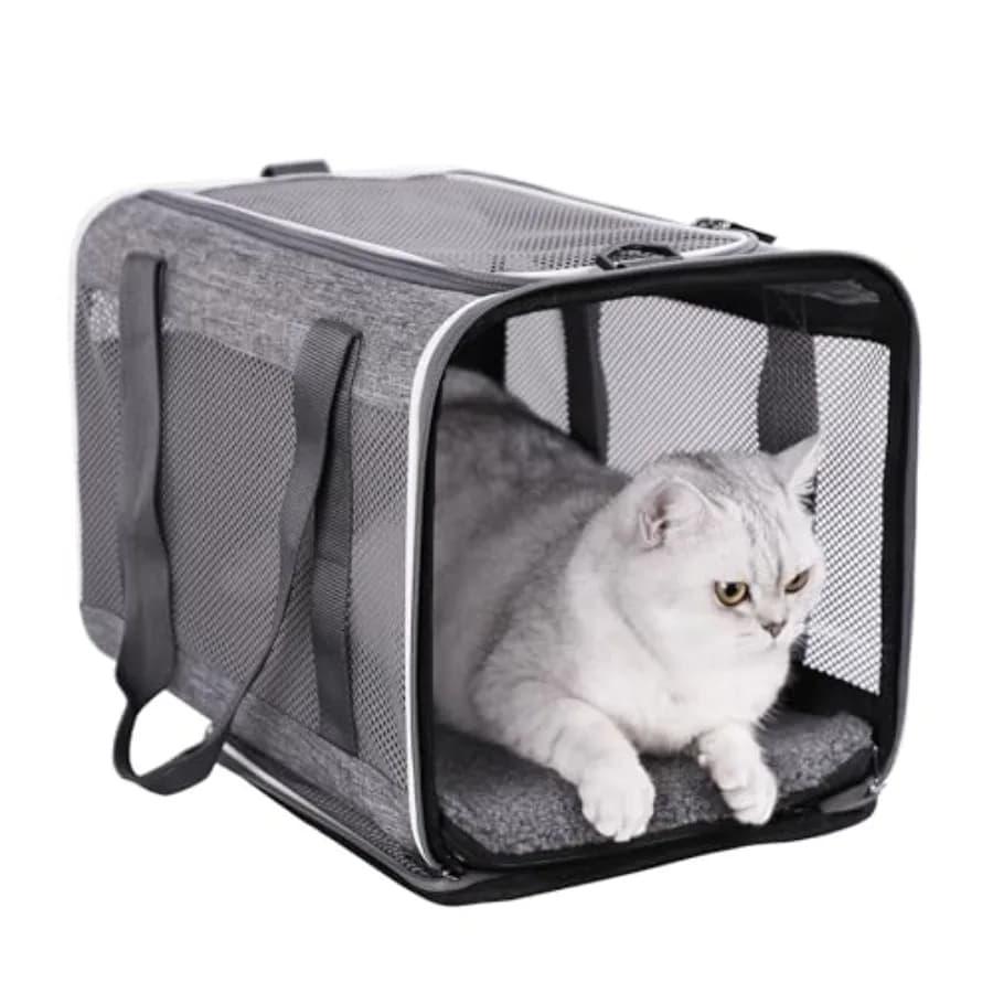 Borsa Morbida per il Trasporto di Gatti e Cuccioli Sotto i 9 kg, Robusta, Sicura, Comoda, Leggera, in Tessuto Traspirante, con Tracolla Regolabile