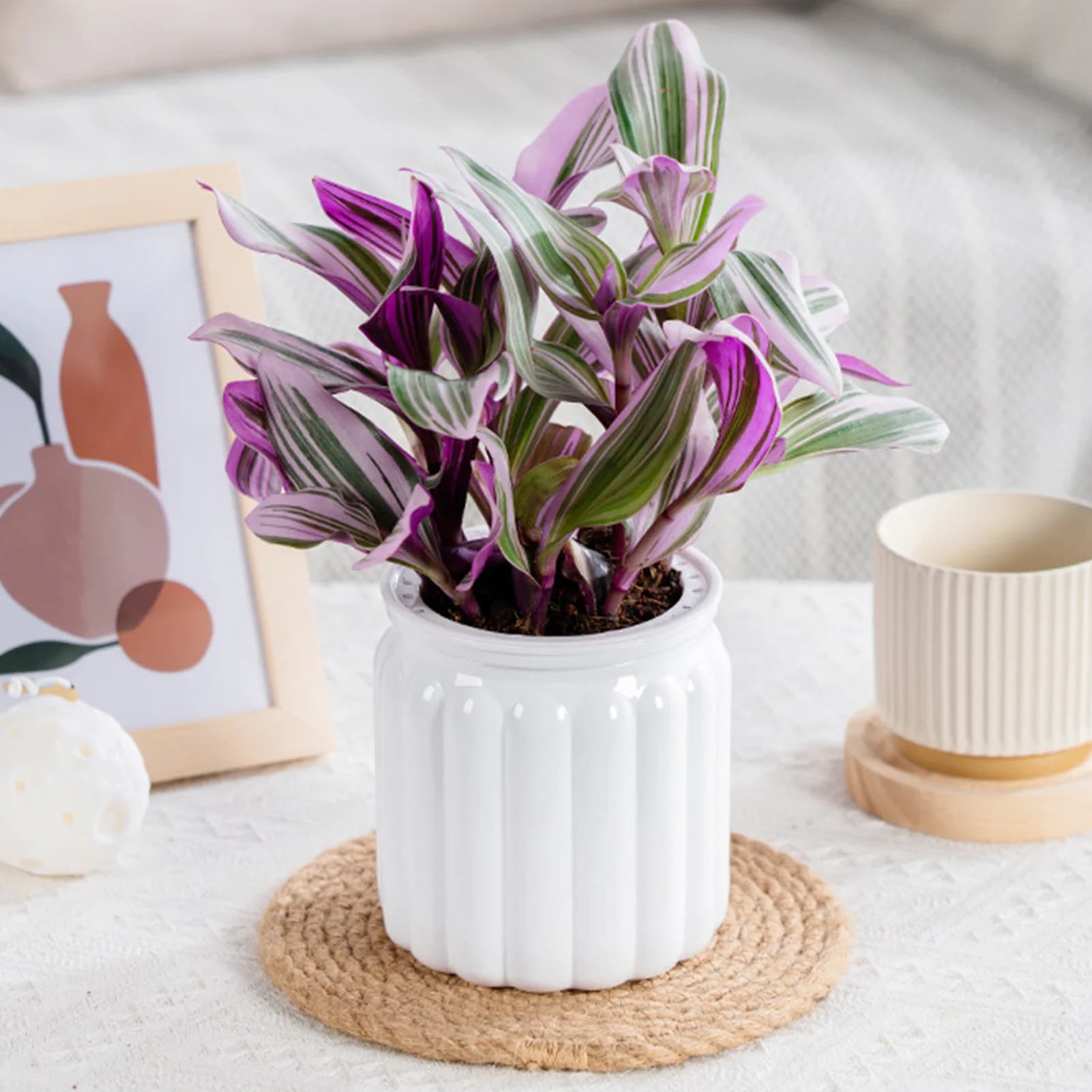 Lazy Hydroponic Flower Pot Automatic Water-Absorbing Flowerpot Transparent Double Layer Plastic Simplicity Vase Office Decors