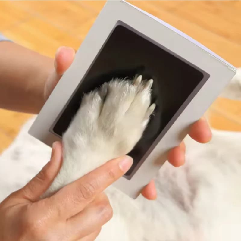 Pet Dog And Cat Paw Print Ink Set Pad Safe Non Toxic Baby Handprints Wash Free Easy Clean DIY Footprints Pet Souvenirs Top Rated