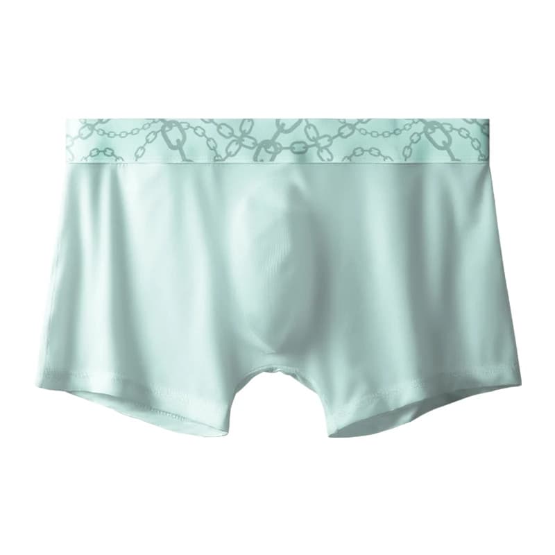 Intimo da uomo modale Slip boxer con cavallo modellato 3D in seta di ghiaccio Intimo estivo traspirante ultrasottile