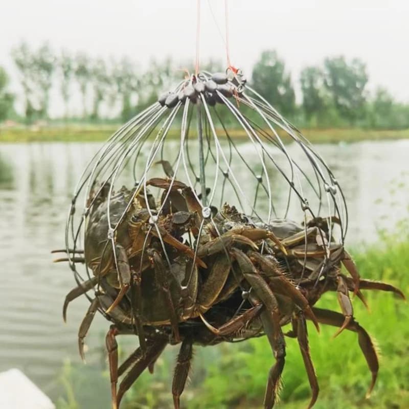 Nassa da Pesca Automatica Apribile e Chiudibile in Filo d'Acciaio per Pesci e Granchi, per Acqua Salata e Acqua di Mare, Accessori per la Pesca all'Aperto