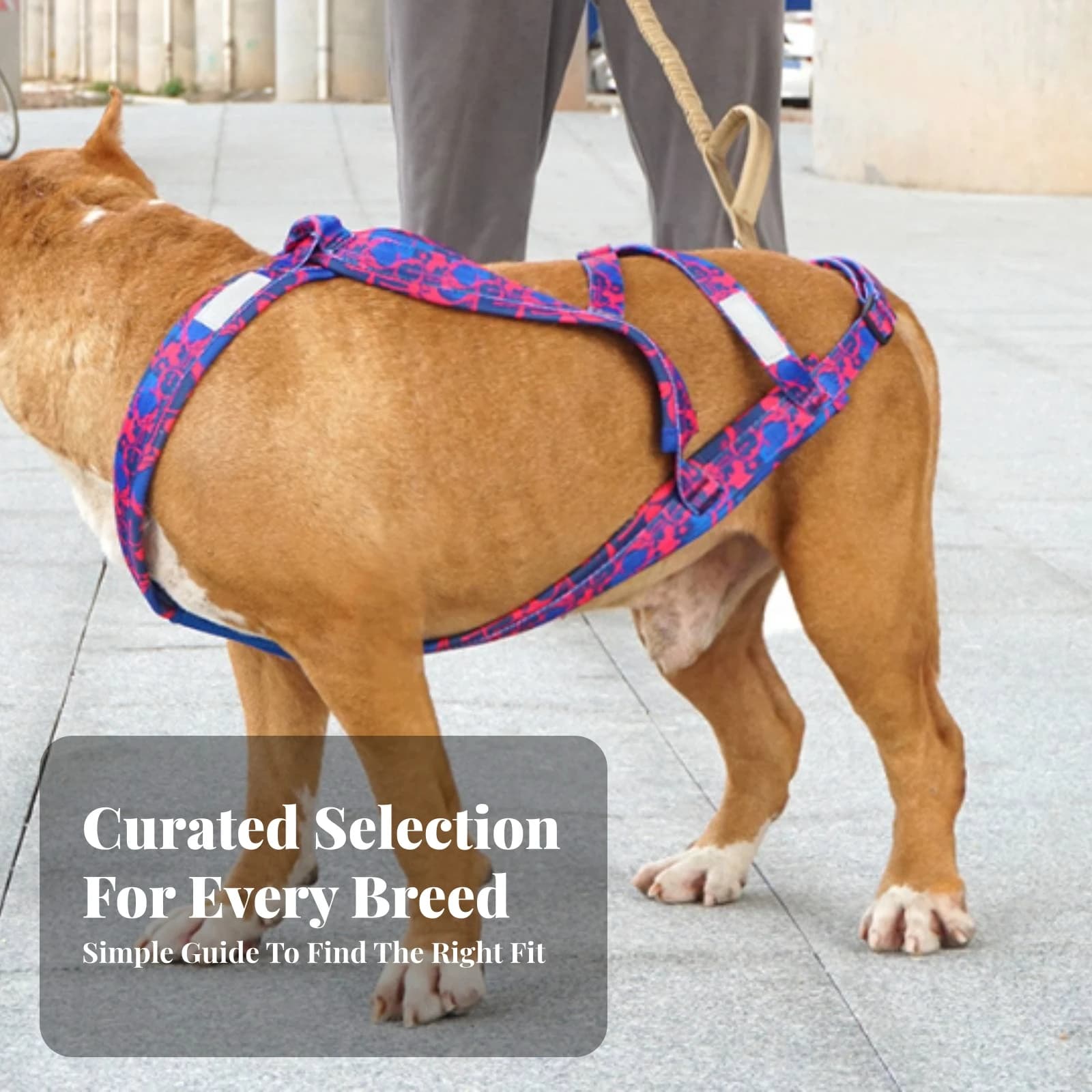 Dog Pulling Harness Comfortable Dog Sled Harness Pet Gear Adjustable Reinforced for Active Dogs, Sledding, Outdoor Exercise