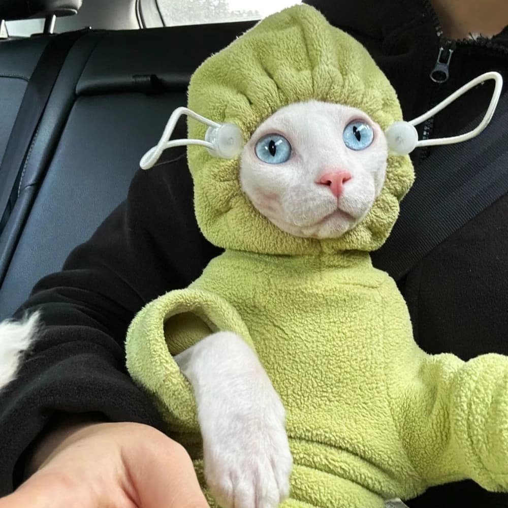 Maglione morbido in pile a 4 gambe per Sphynx Cat Felpa invernale spessa calda con cappuccio rosso verde per gattini Cappotto Devon Rex in autunno