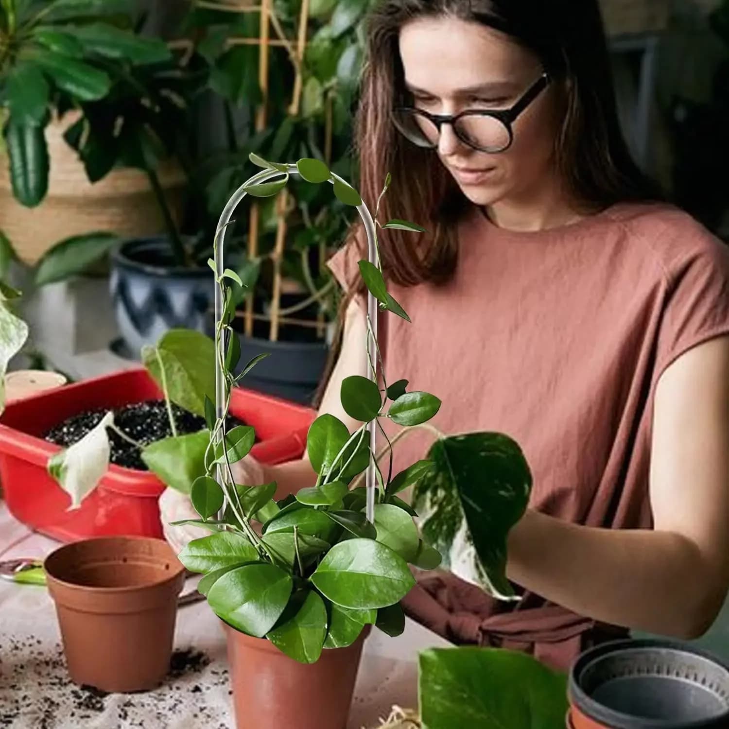 Supporto per piante rampicanti in acrilico a forma di U, trasparente e resistente, adatto per piante rampicanti da interno e supporto per vasi di fiori