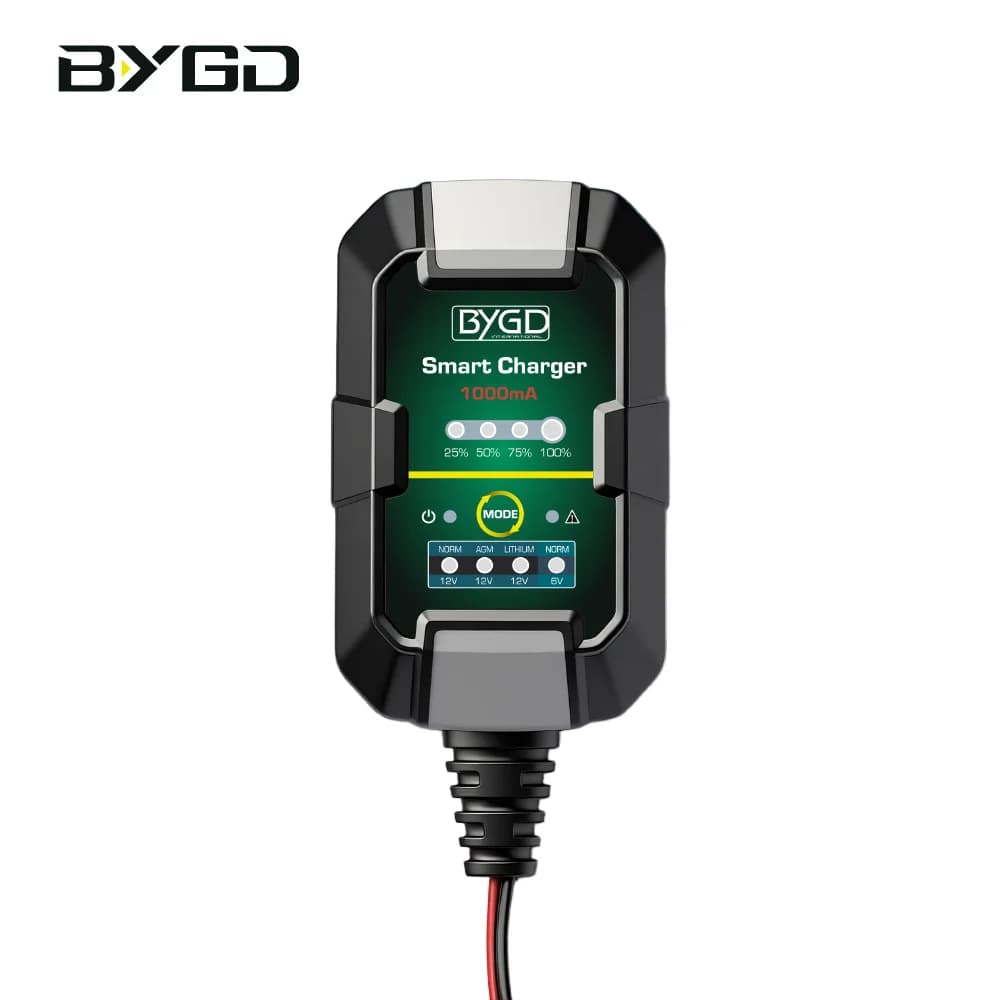 Caricabatterie Intelligente F1000 1000mA 6V/12V per Batterie al Litio/AGM/EFB/GEL/Lead-Acid, Ricarica a Otto Fasi, Protezione a 6 Livelli per Auto e Scooter
