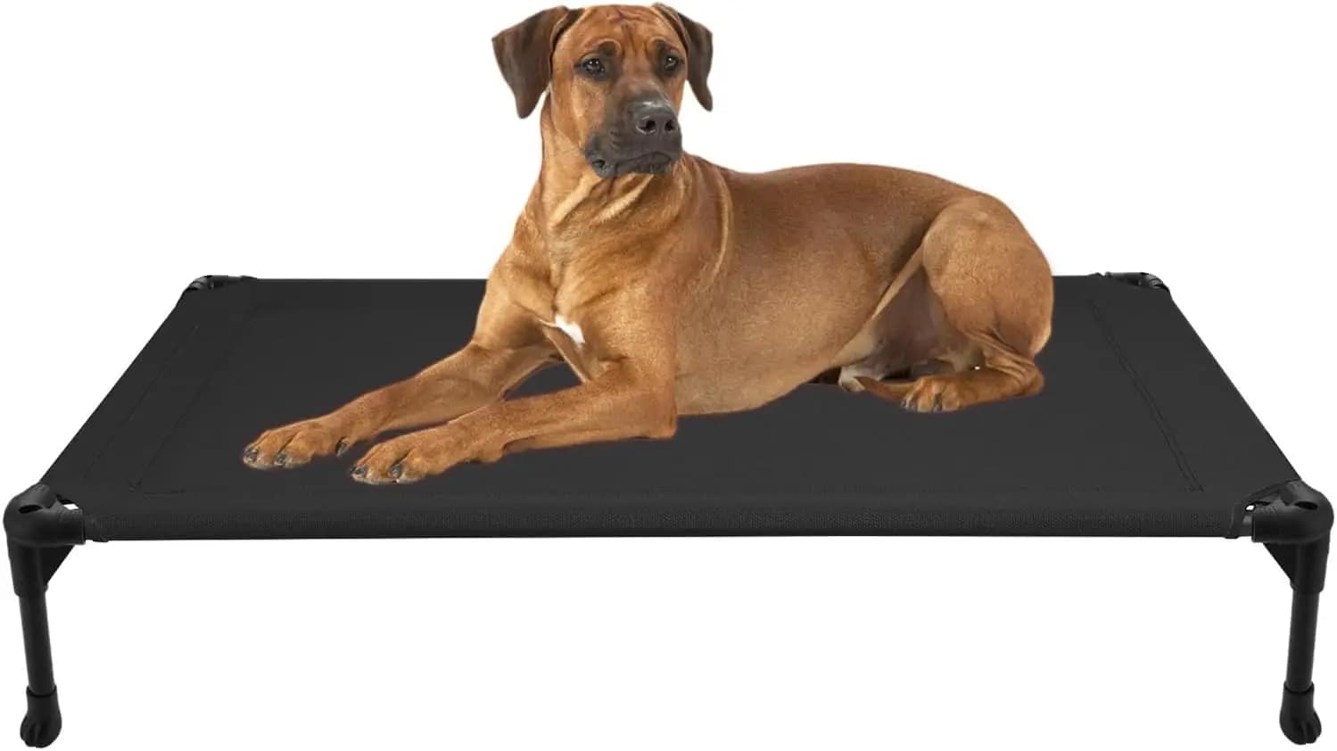 Outdoor Elevated Dog Bed Large Sized Dogs, Large Cooling Raised Dog Cots Beds Training Platform Off Ground Hammock with B