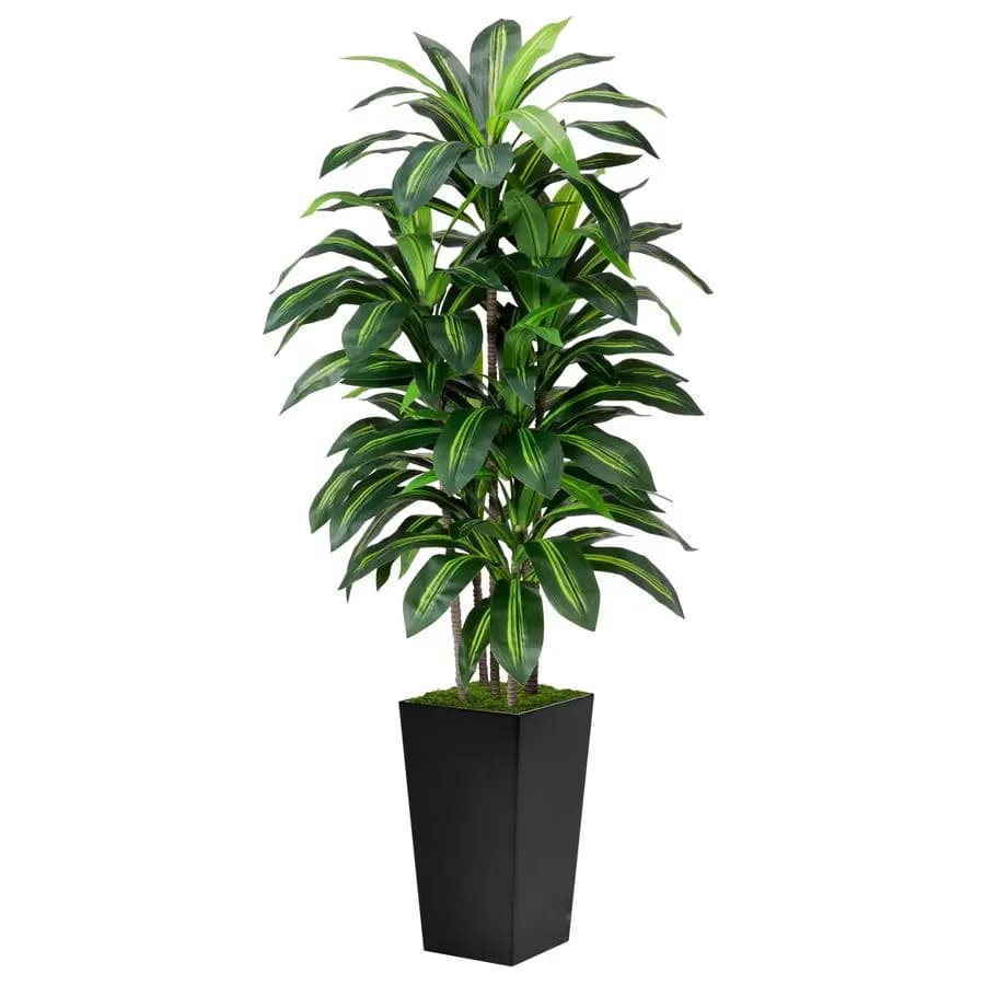 Artificial Dracaena 150 cm with High Black Vase, High Yucca Plant in Vase, Artificial Plant for Home Office Living Room