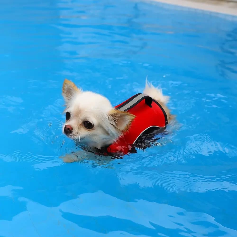 Safety Adjustable Pet Swimming Jacket High Flotation Breathable Dog Swimming Vest Reflective Dog Life Jacket Swimming