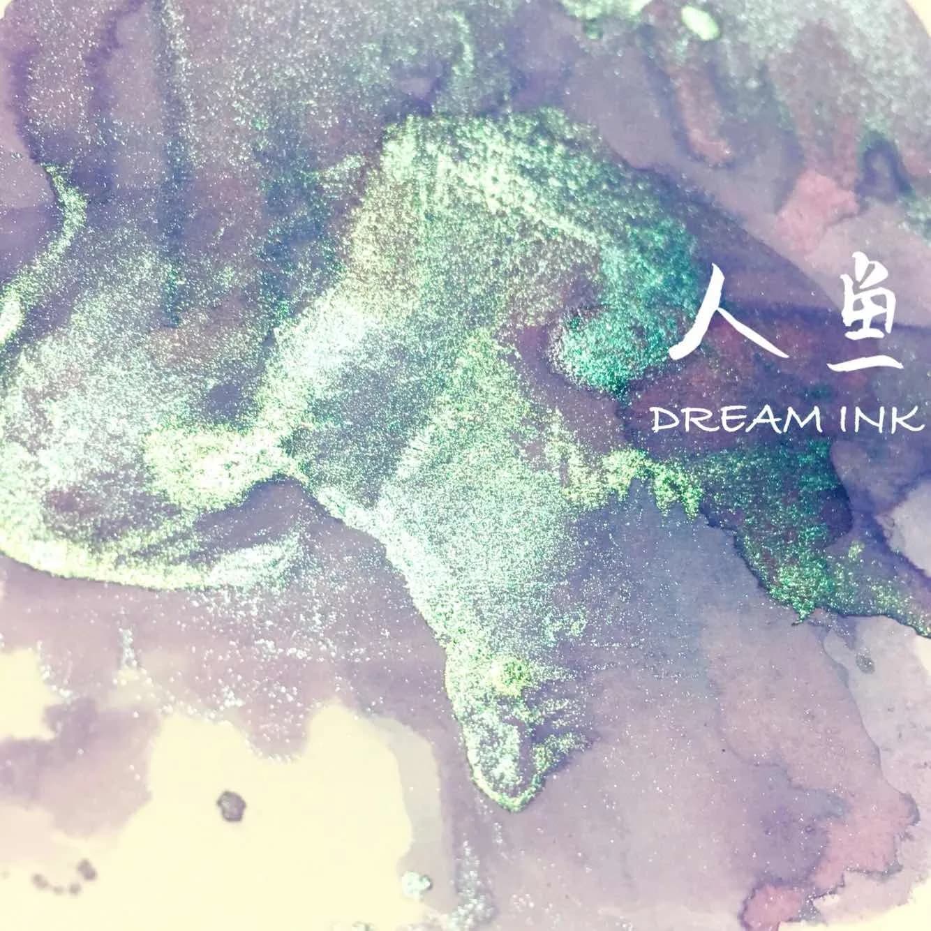 DREAMINK Renyu Color Sheen Fountain Pen Ink 5/20ml Set Shimmer Calligraphy Drawing Writing Ink Office School Supplies Stationery