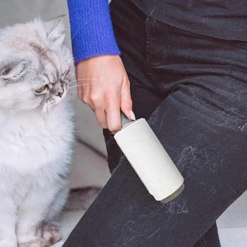 Detergente per lanugine appiccicoso con rullo per lanugine portatile per peli di animali domestici, deposito segreto di gioielli, sicurezza domestica per modificare oggetti di valore chiave contanti