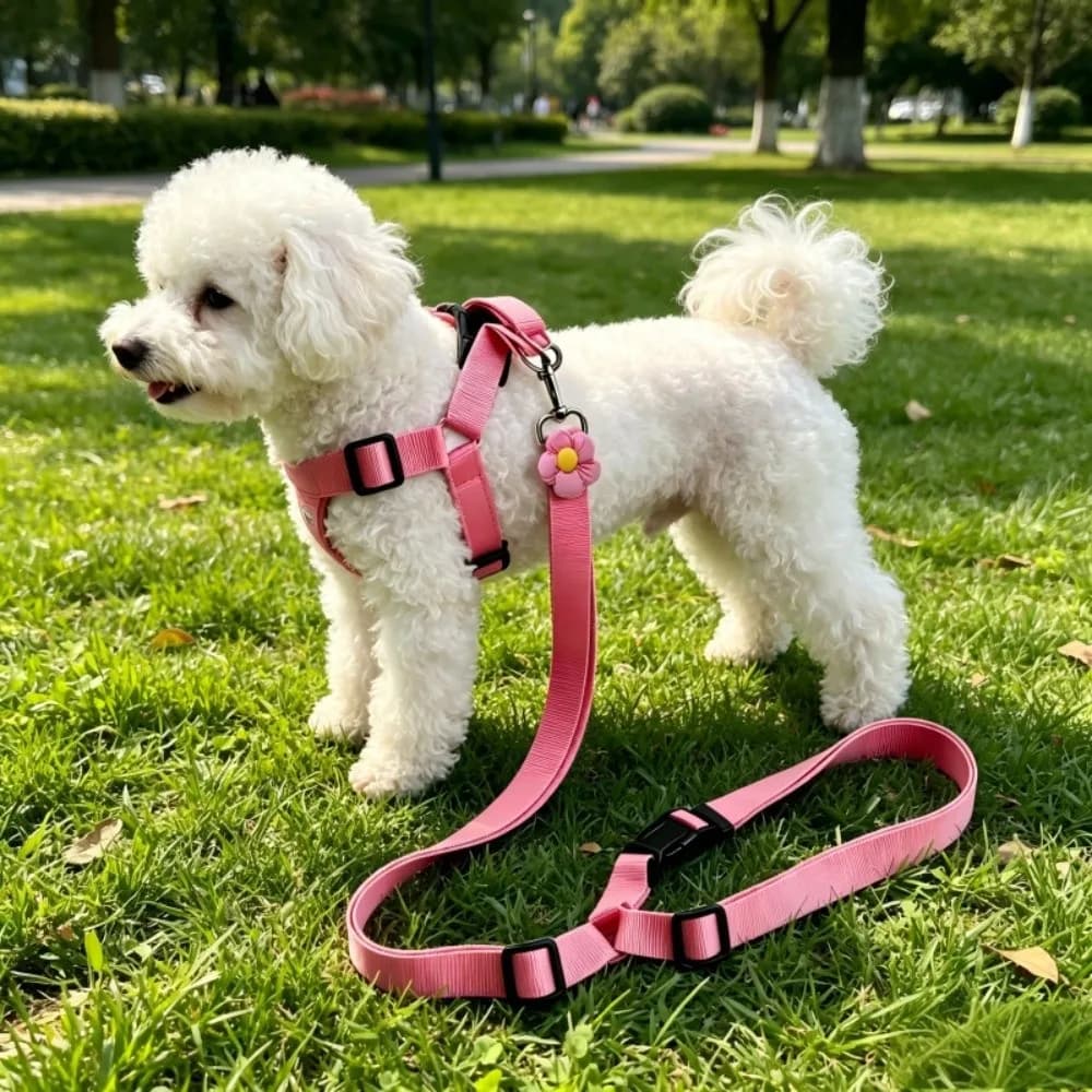 Dog Car Leash Adjustable Dog Car Safety Belt Nylon Durable Pet Car Chest Harness Retractable Dog Seatbelt Tether Outdoor