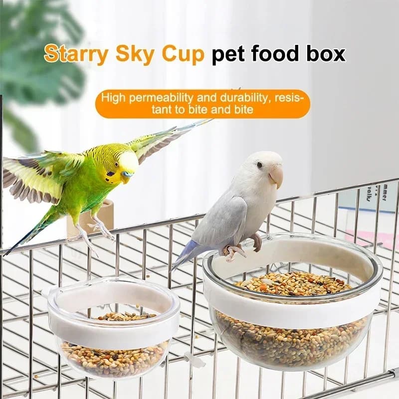 Ciotola per l'alimentazione degli uccelli Ciotola in plastica trasparente staccabile Tazza per alimenti per gabbia Comodo pappagalli sospesi Alimentatore d'acqua Forniture per animali domestici