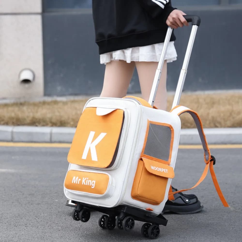 Trasportatori e passeggini pieghevoli per gatti Trasportatore per zaino portatile traspirante per gatti Forniture per prodotti per animali domestici resistenti all'usura