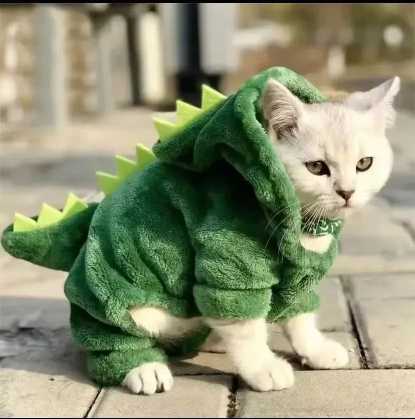 Pet Cat Dog Vestiti per cani di Halloween per cani di piccola taglia Divertente dinosauro Costume cosplay Cappotto invernale caldo per gatti Maglione con cappuccio in pile