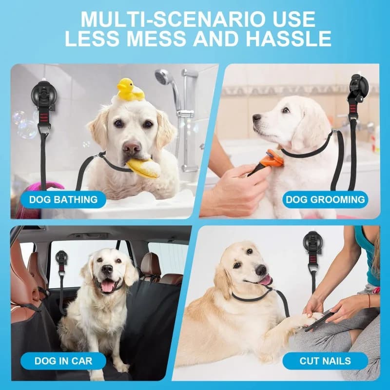 Guinzaglio di Contenimento per Toelettatura e Bagno Cani con Ventosa Antiscivolo per un Bagno Sicuro Senza Disordine