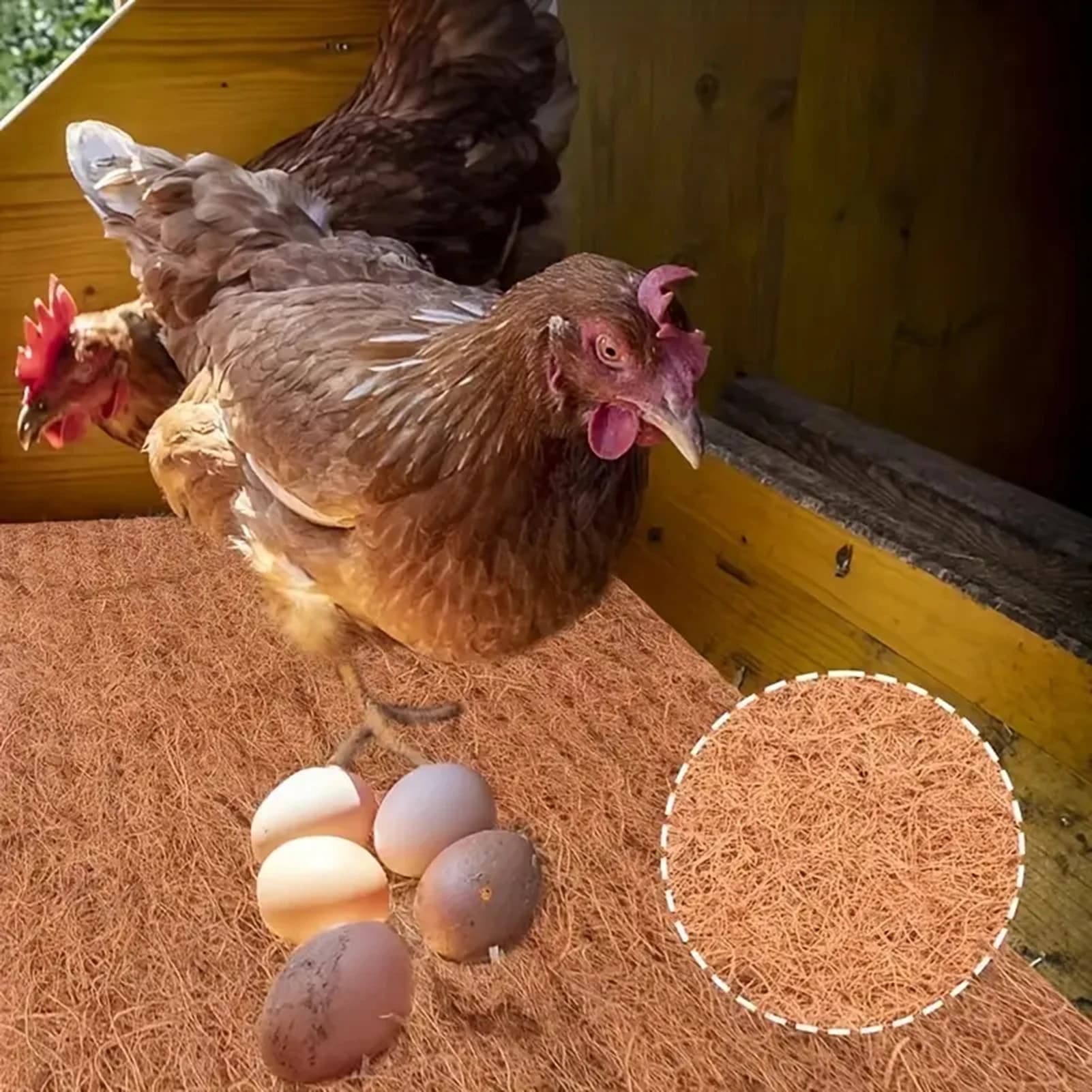 ​ Tappetino in Fibra di Cocco per Allevamento Uova, Materiale Naturale e Durevole, Traspirante, Adatto per Draghi Barbuti e Insetti