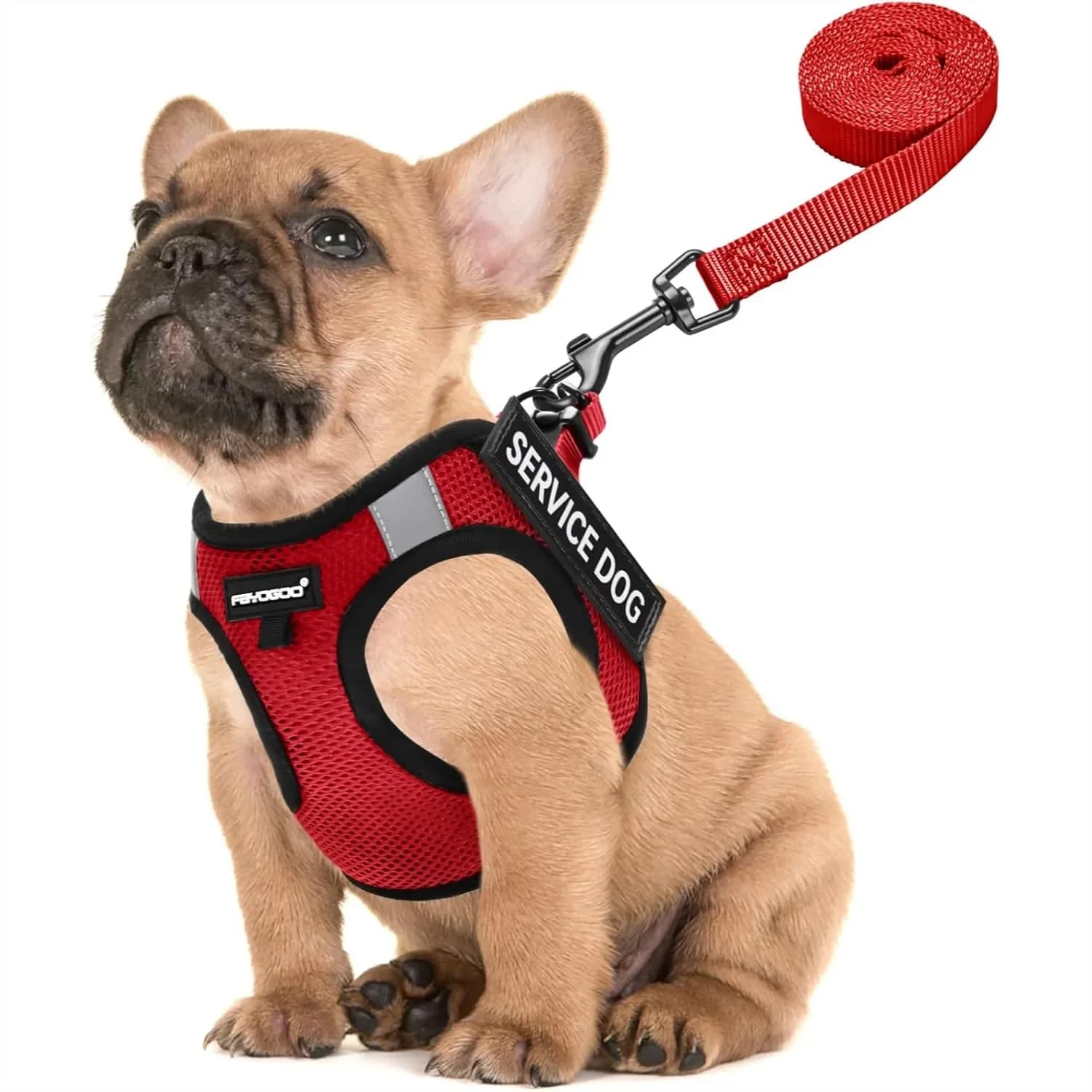 Gilet per Cani da Servizio per Cani di Piccola Taglia - Rete Leggera e Traspirante con 6 Patch Rimovibili, Design Anti-Fuga per Passeggiate e