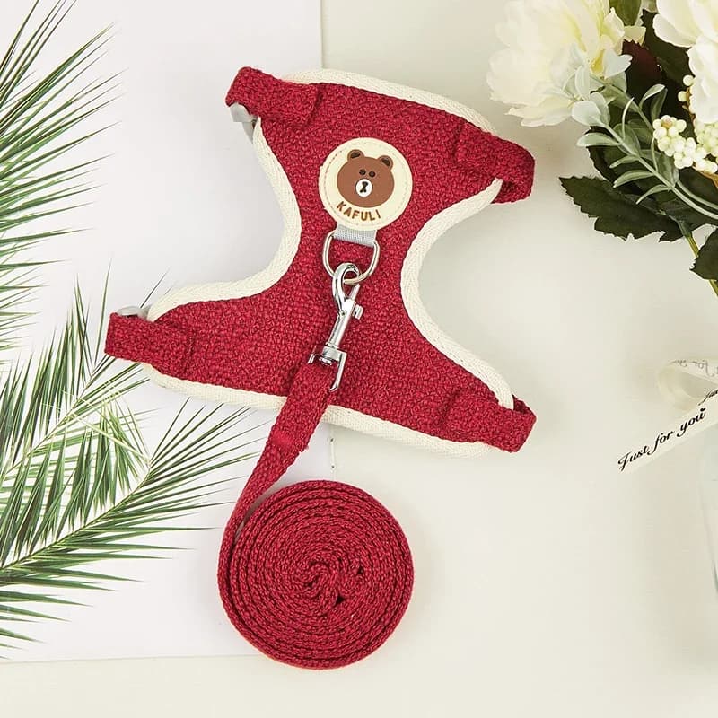 Set Pettorina e Guinzaglio per Coniglietto, Imbottito Morbido, per Cuccioli Piccoli, Teddy Bear, Gatti, per Passeggiate con Piccoli Animali Domestici