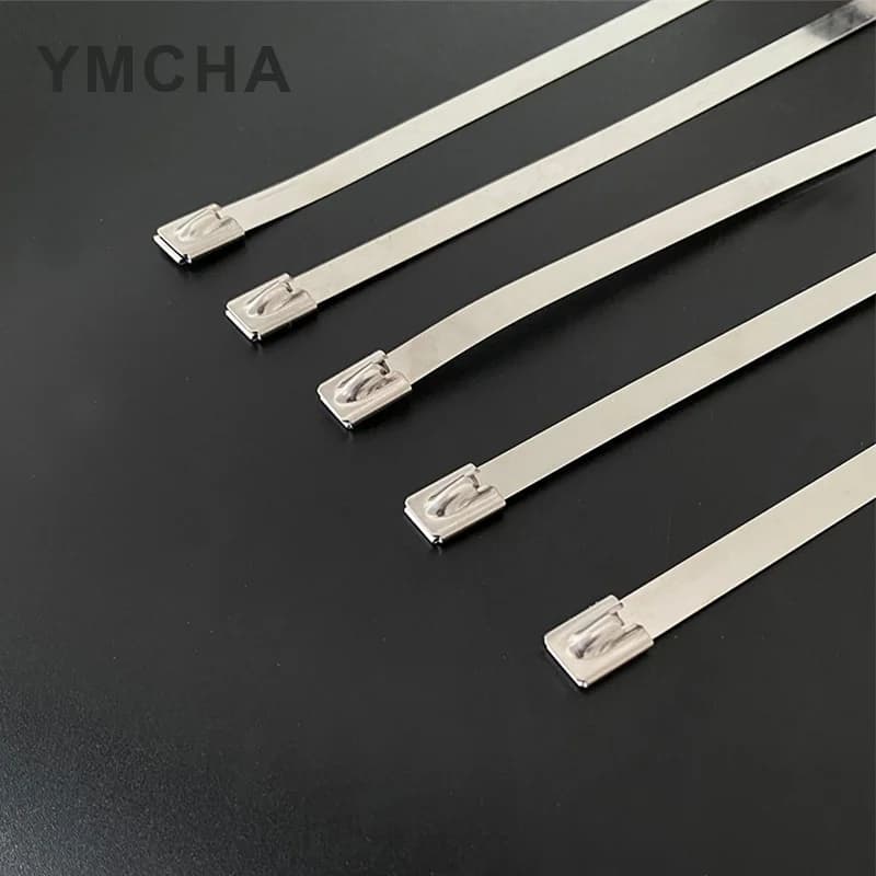 50 Pezzi Fascette Metalliche in Acciaio Inox Serie 4.6mm, Cinghie per Tubi di Scarico e Induzione