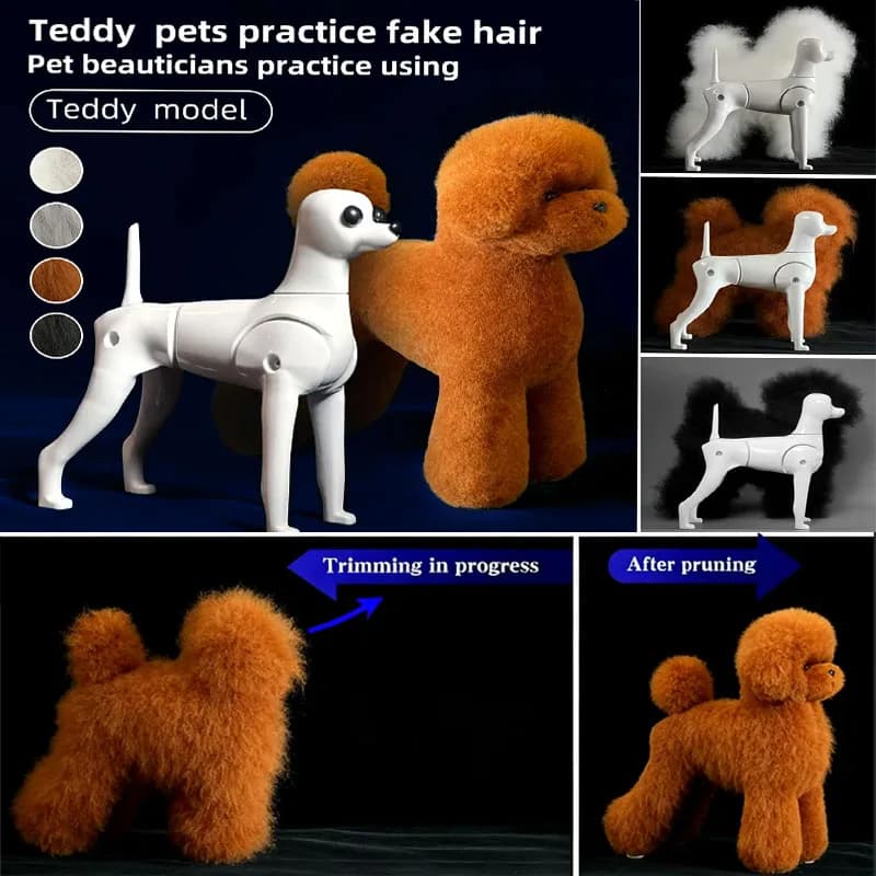 Modello di simulazione per toelettatura di animali domestici: Teddy Dog, simulatore di pelo, modello scheletrico per tutto il corpo, per pratica di toelettatura.