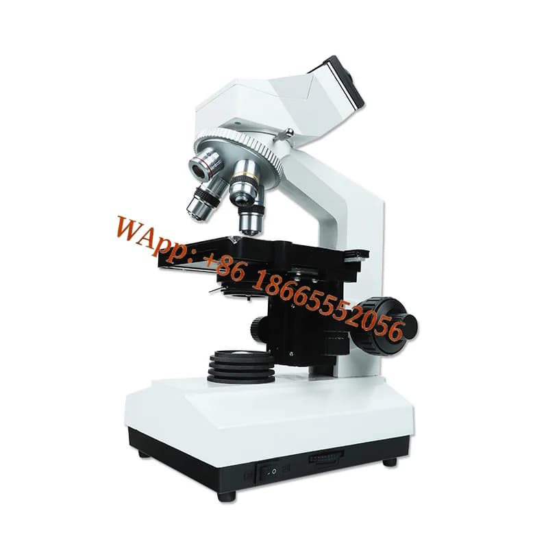 Microscopio binoculare 1600x ad alta definizione, kit scientifico portatile per laboratorio, attrezzatura per microscopia