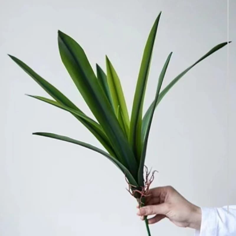 4Pcs Artificial Latex Cymbidium Leaf Home Decoration Wedding Arrangement Green Plants Party Table Phalaenopsis Leaf Bonsai Plant