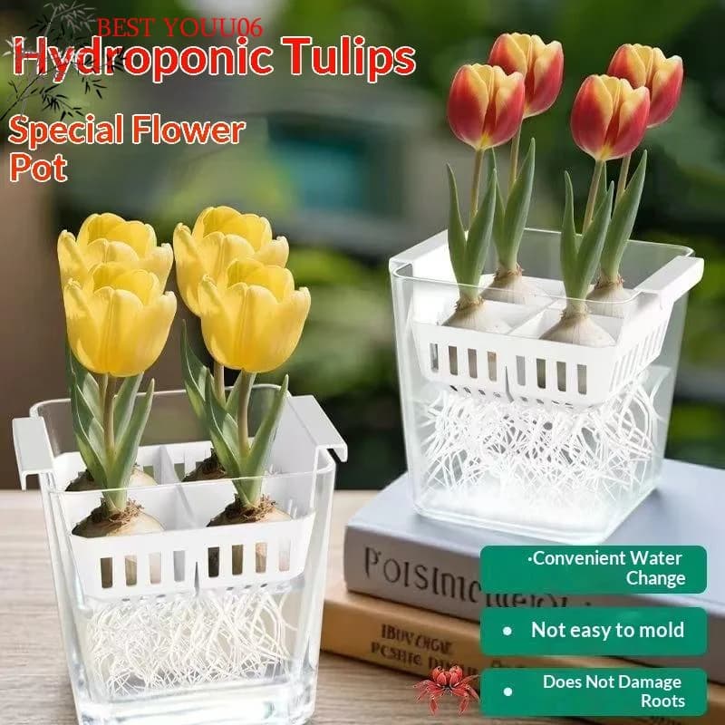 (YOUU06) Hydroponic Containers with Breathable Support Basket, Hydroponic Pot for Tulip Seeds, 4 Holeless Flower Jar